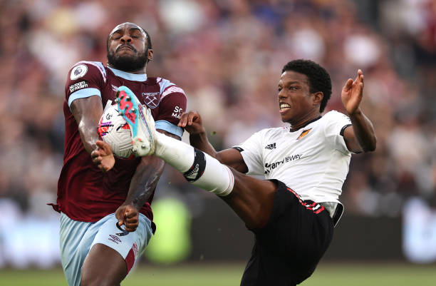 安将身披米 安将身披米